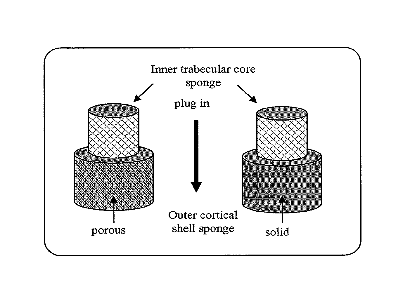 Bi-layered bone-like scaffolds