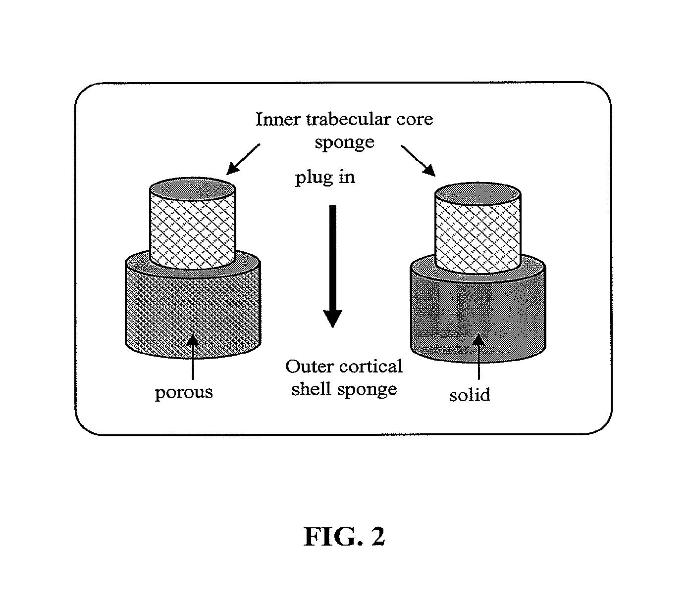 Bi-layered bone-like scaffolds