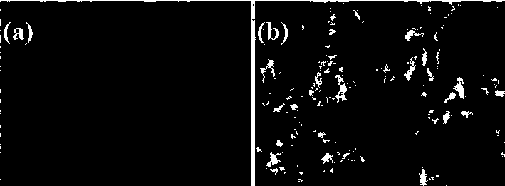 Foamed-nickel-base loaded ZnCo2O4/ZnWO4 composite material synthesized according to hydrothermal method and application thereof