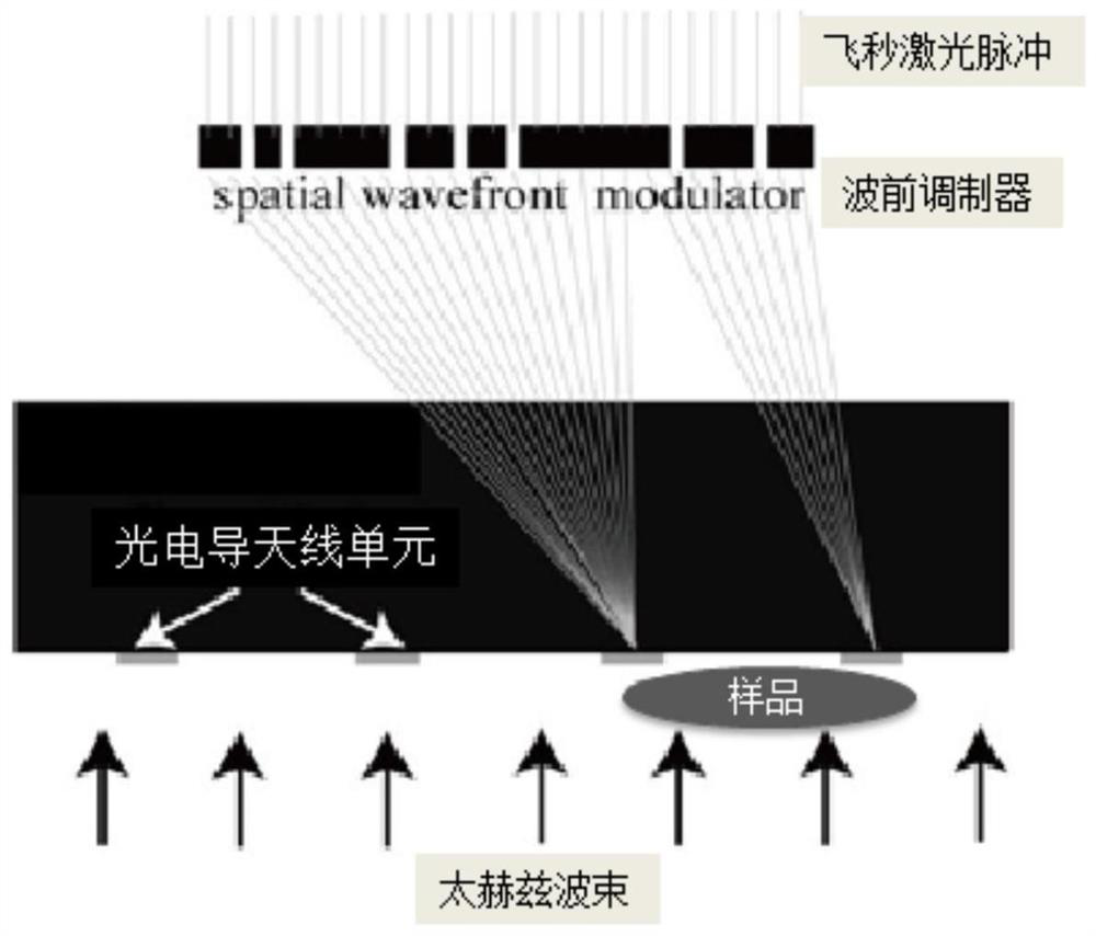 Fast dynamic terahertz near-field imaging system based on photoconductive antenna array and its construction method