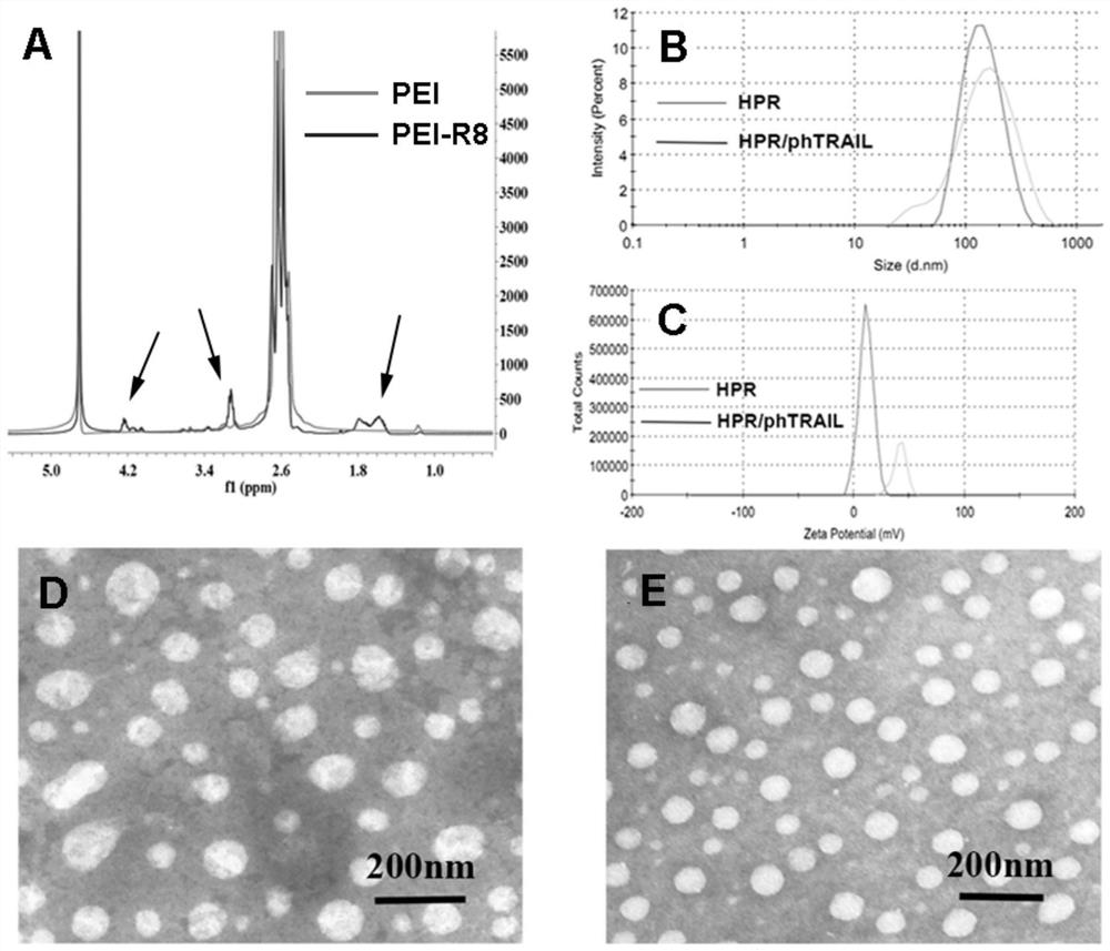 A kind of non-viral gene carrier for gene delivery and its preparation method and application