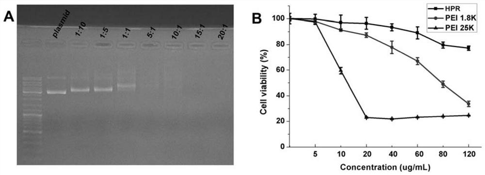 A kind of non-viral gene carrier for gene delivery and its preparation method and application