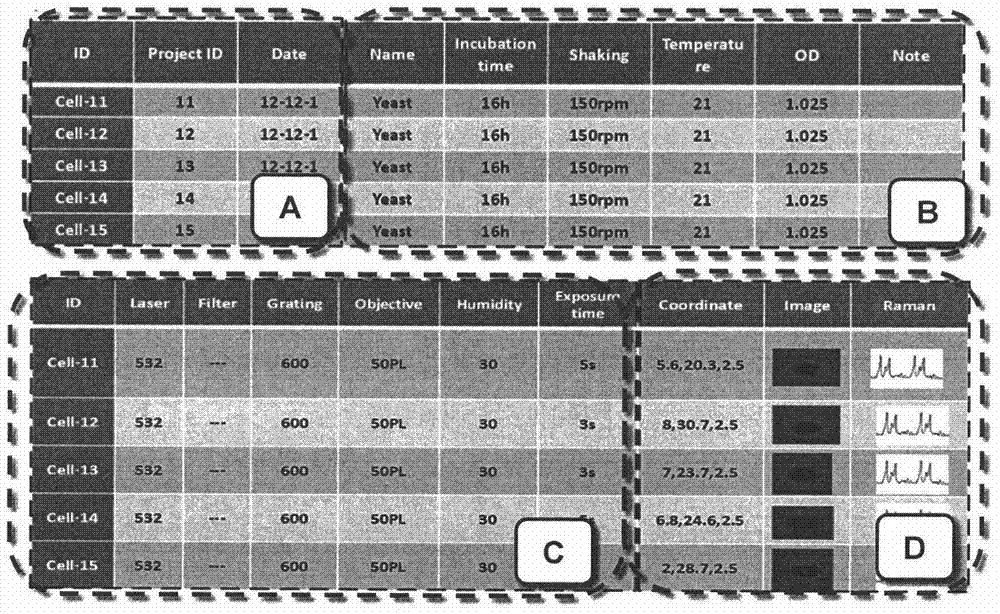 Single-cell phenotype database system and search engine