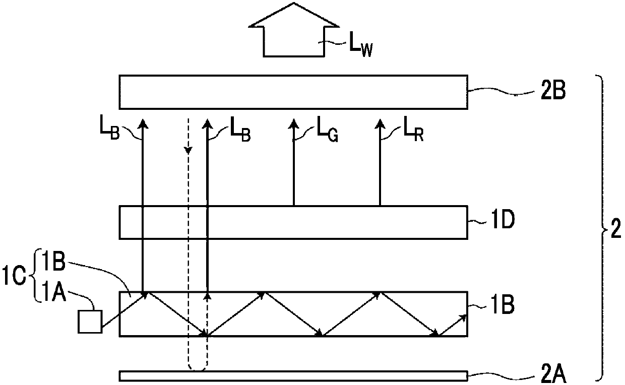 Wavelength conversion member and backlight unit provided with same, and liquid crystal display device