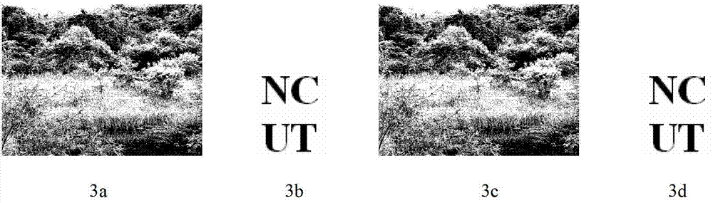 Image watermark embedding and extracting method combining ridgelet transformation and DCT (Discrete Cosine Transform)