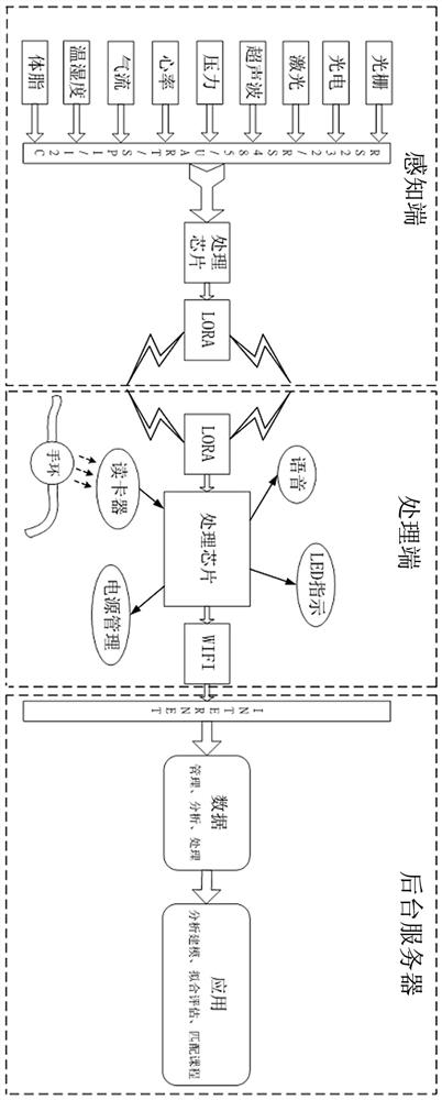 Infant-oriented body measurement exercise data collection, evaluation and intervention system and method