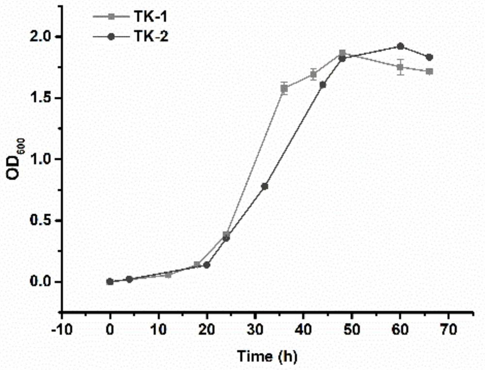 Bacillus cereus capable of producing cellulase and xylanase at low temperature