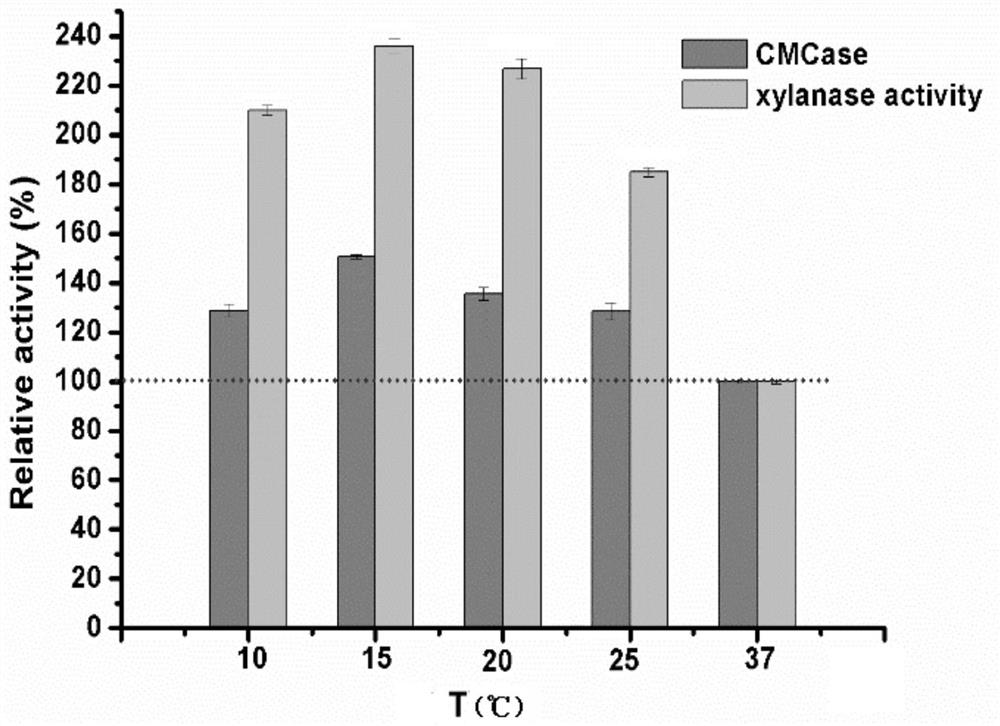 Bacillus cereus capable of producing cellulase and xylanase at low temperature