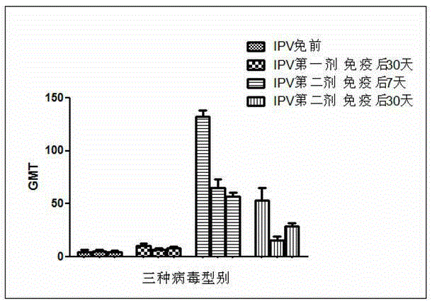 Establishment method of animal model for ipv intradermal immunity evaluation