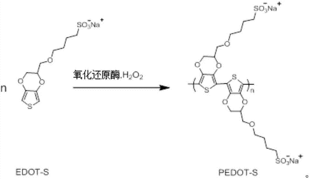 Biological catalysis synthesis method of sodium polyethylenedioxythiophene sulfonate