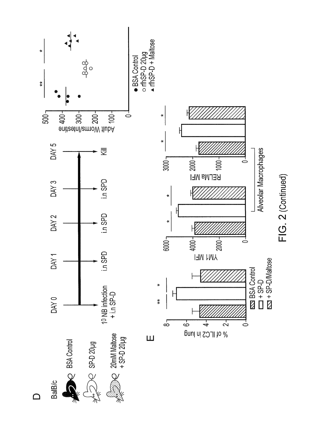 Treating infection