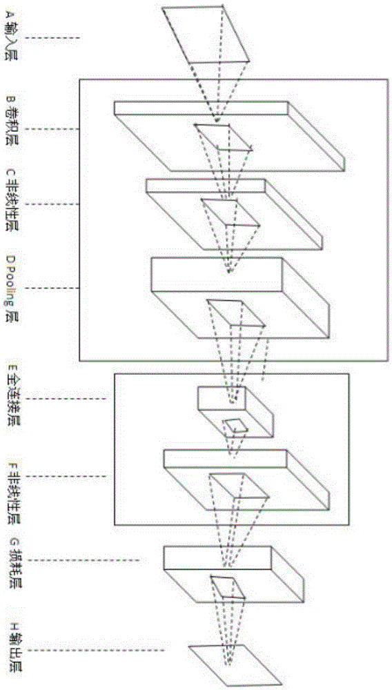 Human face attribute prediction method and apparatus based on deep study and multi-task study