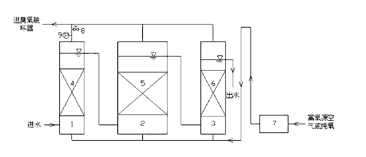 Process method for performing advanced treatment on petrochemical wastewater through catalytic ozonation