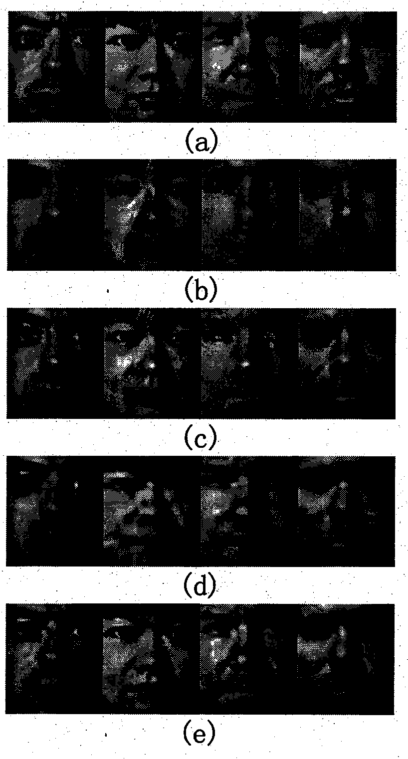 Human face recognition system and method based on second-order two-dimension principal component analysis