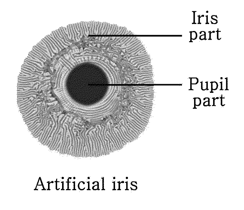 Self-regulated artificial iris and method of fabricating the same