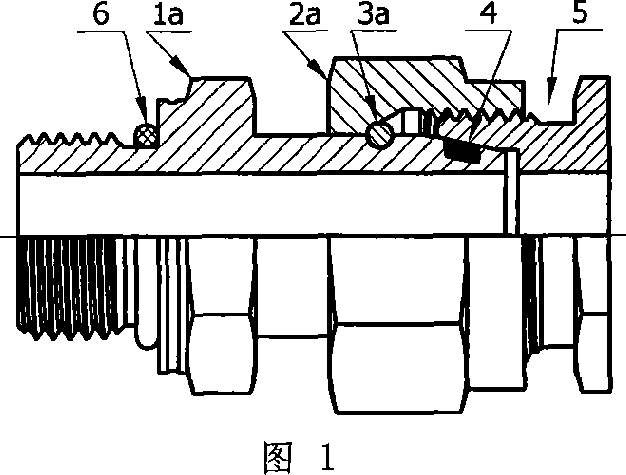 Pipe union fastening structure and its assembling process