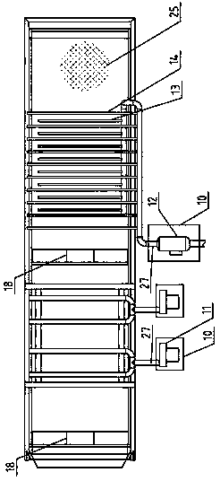 Cistanche tubulosa vibration washing and drying machine and washing and drying method