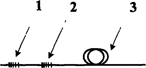 Sensing demodulating system for optical chirped-grating