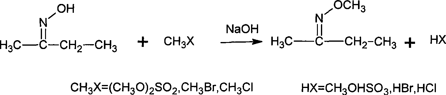 Method for synthesizing methoxy amine hydrochlorate