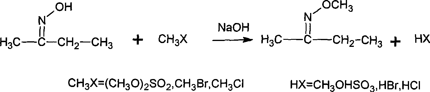 Method for synthesizing methoxy amine hydrochlorate