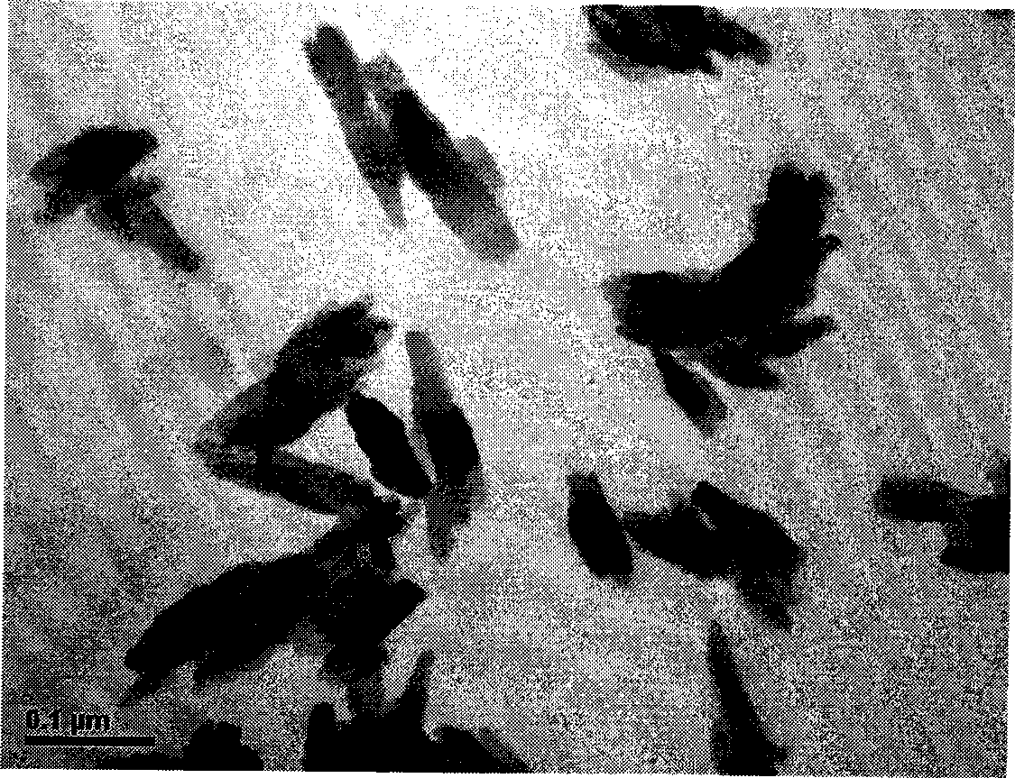 Method for preparing hydroxyapatite/silk fibroin compound porous stand material