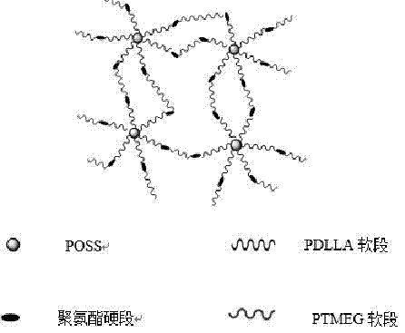 Method for preparing star-shaped biodegradable shape-memory-polymer nano composite material