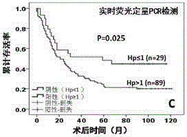 Quantitative gastric carcinoma patient survival prediction and individual follow-up schedule evaluation method based on helicobacter pylori DNA molecules