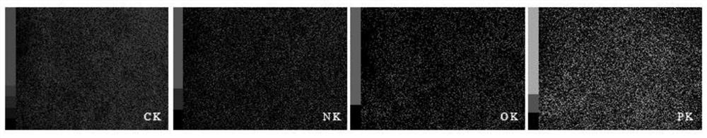 Nitrogen-phosphorus co-doped porous carbon material and preparation and application methods thereof