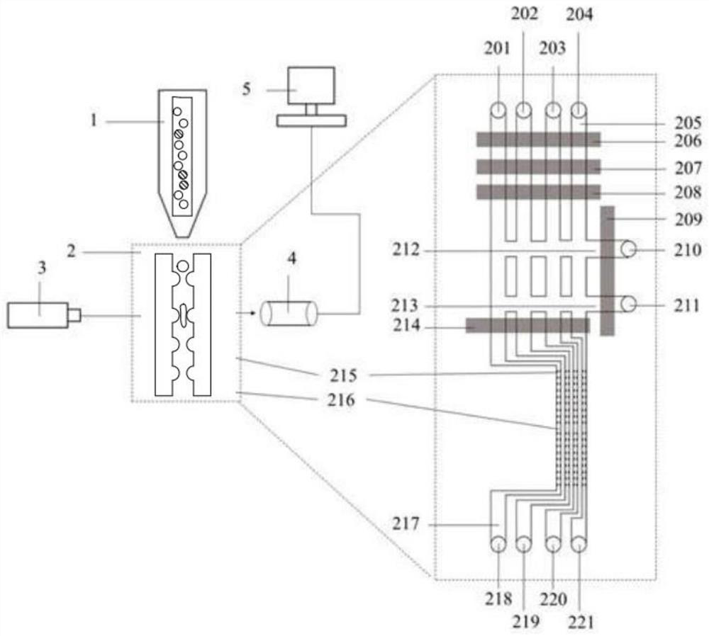 High-throughput chromosome and cytoskeleton strain flow analyzer and implementation method