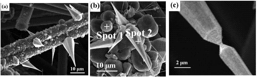 Preparation method for in-situ synthesizing of conical SiC crystal whisker through coprecipitation and thermal evaporation technology