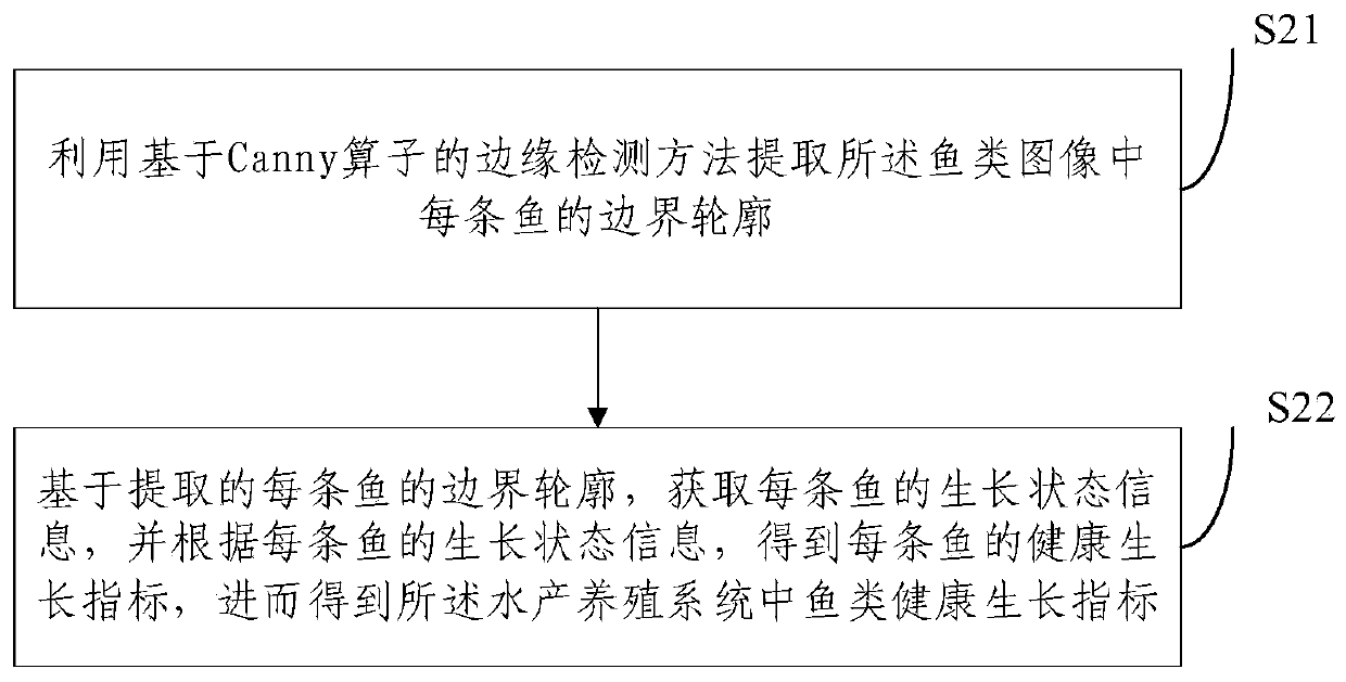 A method and system for optimal regulation and control based on fish growth