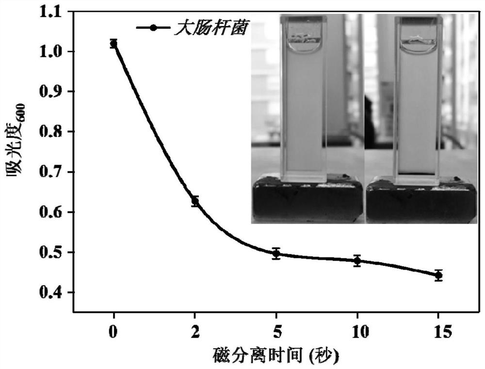 Magnetic material with nitric oxide/photothermal synergistic antibacterial effect and its preparation method and application