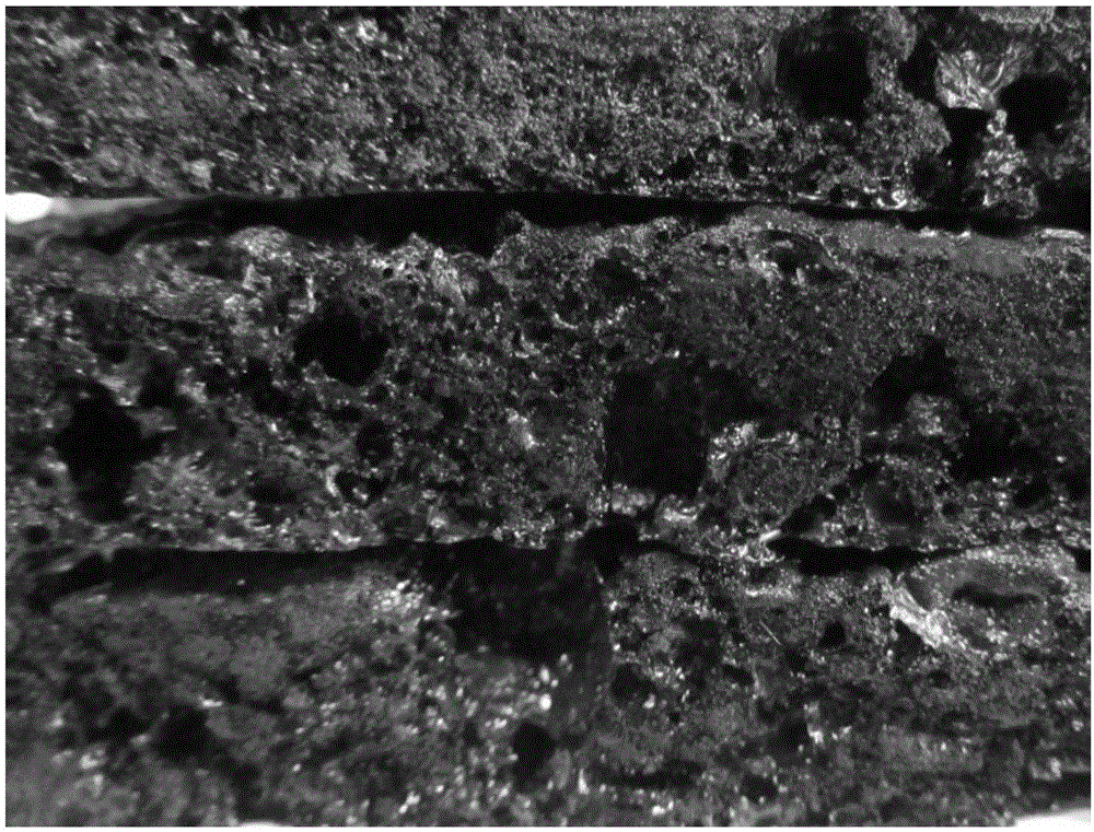 Foam carbon preparation method based on waste biomass