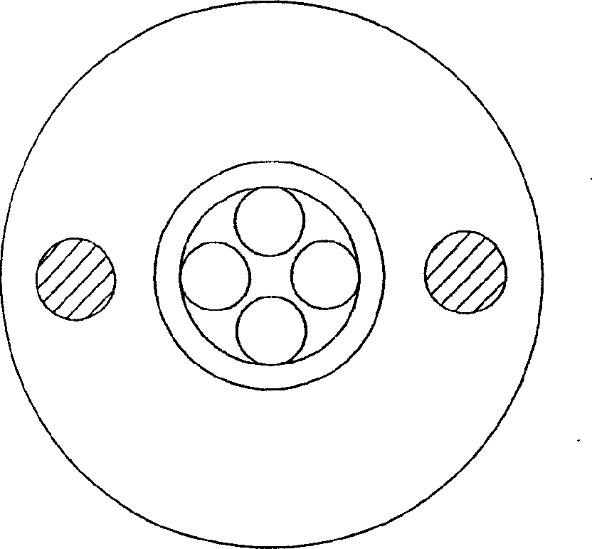 Spiral-skeleton self-bearing type multi-core cable