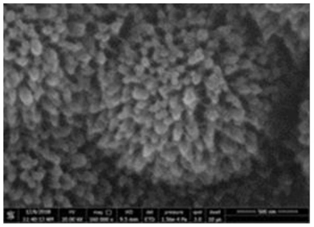 Battery diaphragm material and its preparation method and application