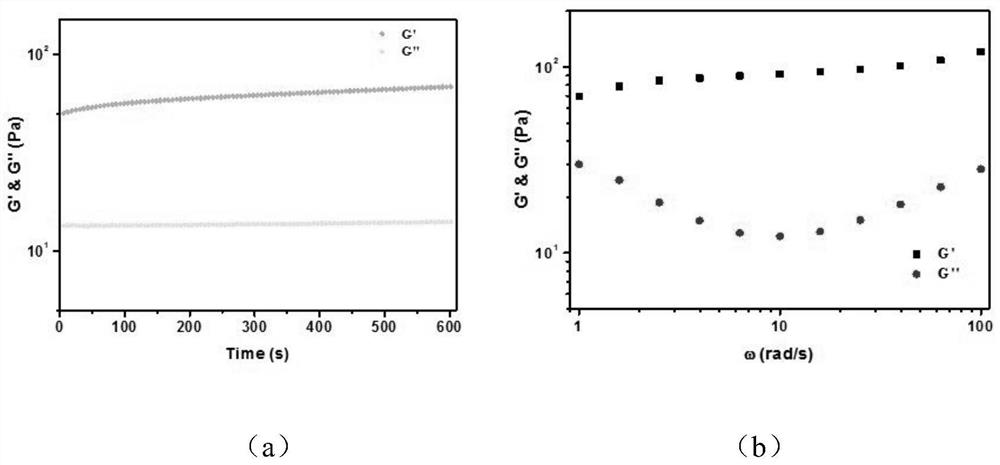 Hydrogel dressing, preparation method thereof, multifunctional nano-composite dressing, and preparation method and application of multifunctional nano-composite dressing