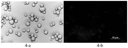 Pickering emulsion, preparation method thereof and application of pickering emulsion as vaccine immunologic adjuvant