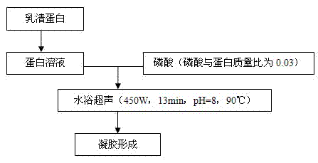 Preparation method of modified whey protein gel