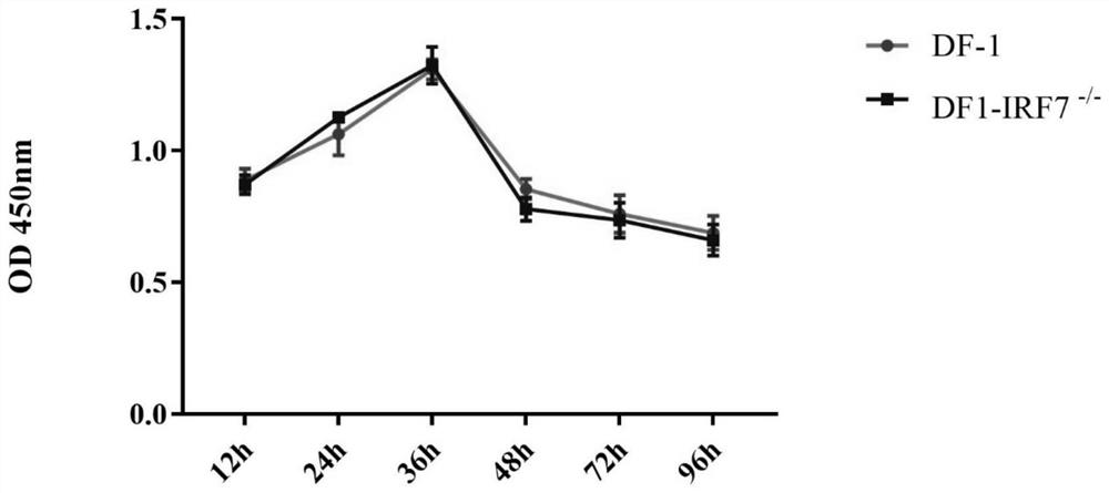 Cell line with sgRNA, plasmid and IRF7 function deficiency as well as construction method and application of cell line