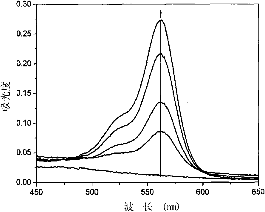 Application of thiospirolactone in intracellular hypochloric acid detection