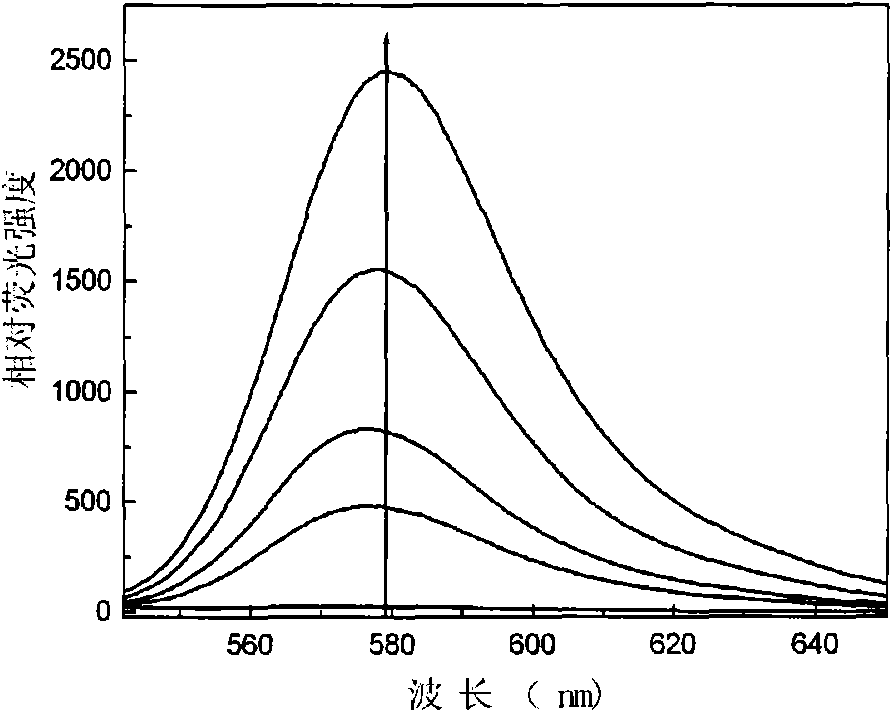 Application of thiospirolactone in intracellular hypochloric acid detection