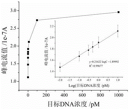 Electrochemical method of detecting single-chain target DNA concentration based on G-quadruplex-heme compound and polymeric chain type amplification reaction