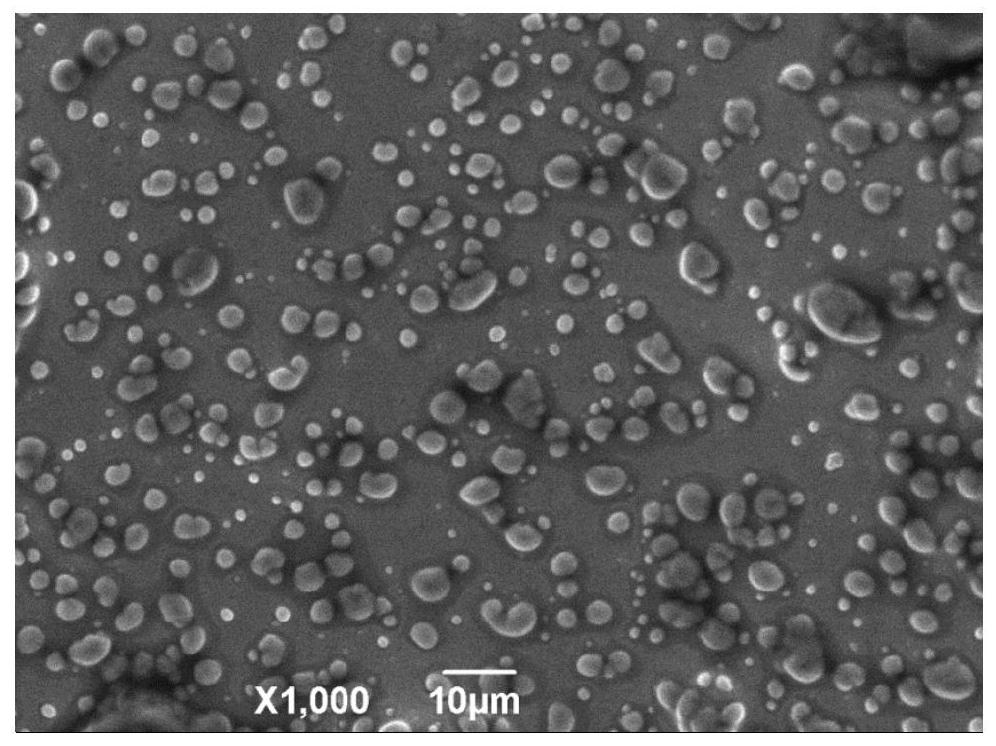 A nadh drug-loaded microsphere