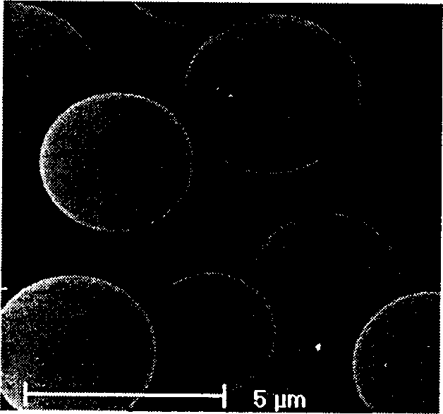 Method for preparing noble metal hollow micro capsule