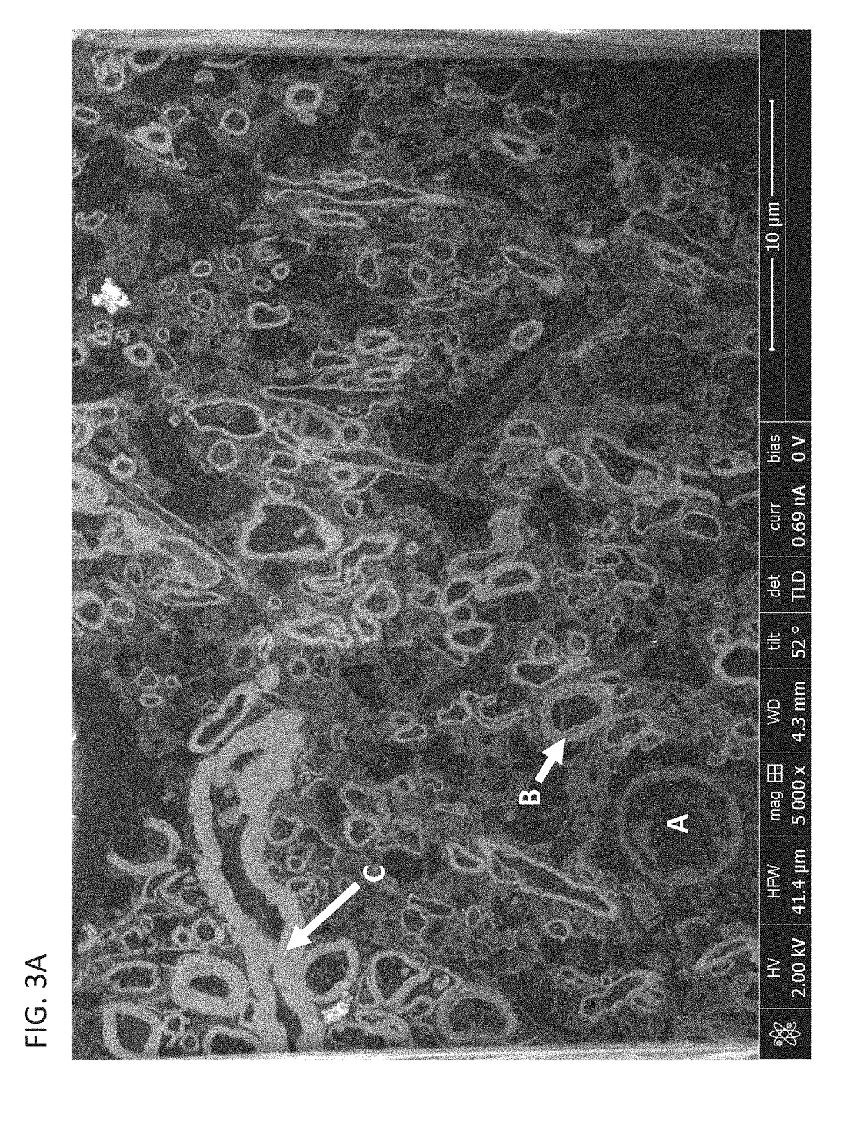 Methods and compositions for the preservation of tissue