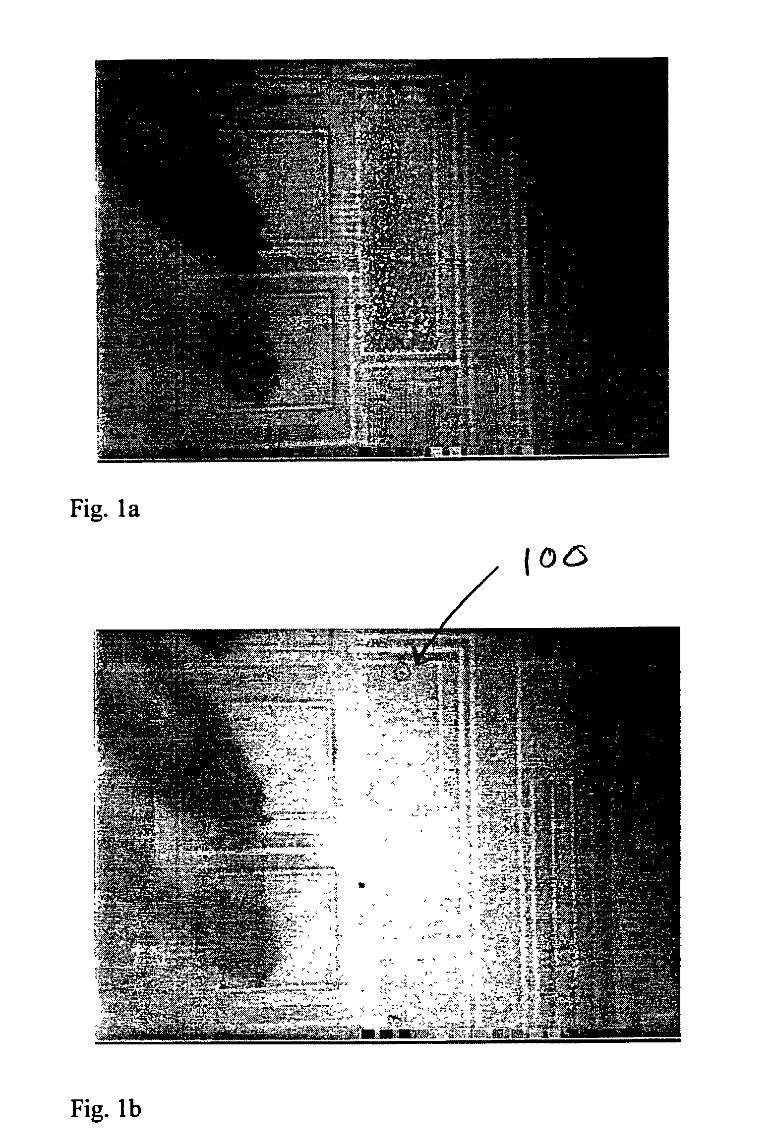 Methodology and apparatus using real-time optical signal for wafer-level device dielectrical reliability studies