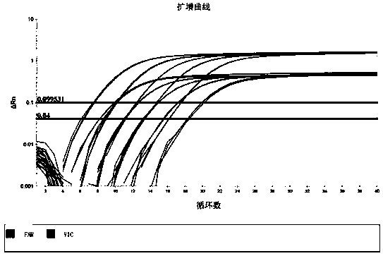 Method for detecting heterogeneity of mitochondrial genome A3243G site