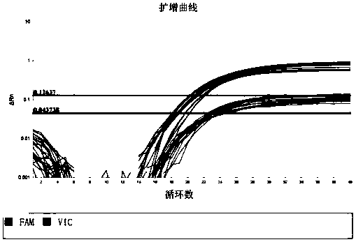 Method for detecting heterogeneity of mitochondrial genome A3243G site