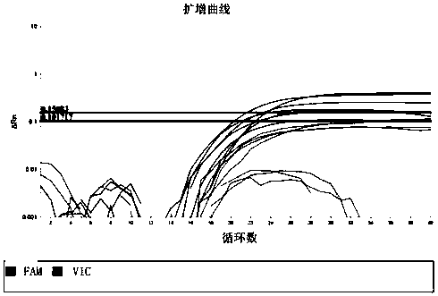 Method for detecting heterogeneity of mitochondrial genome A3243G site