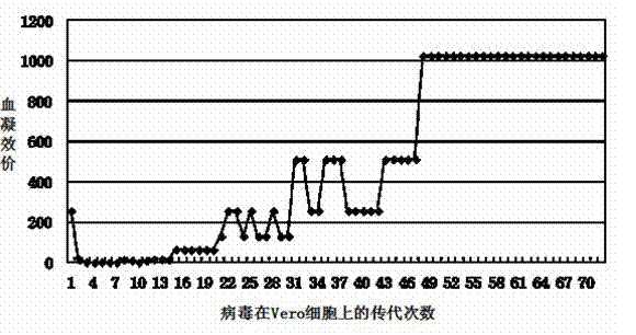 Vero (Rabies Purified Vaccine for Human Use) cell cold-adapted strain of influenza A virus and application thereof